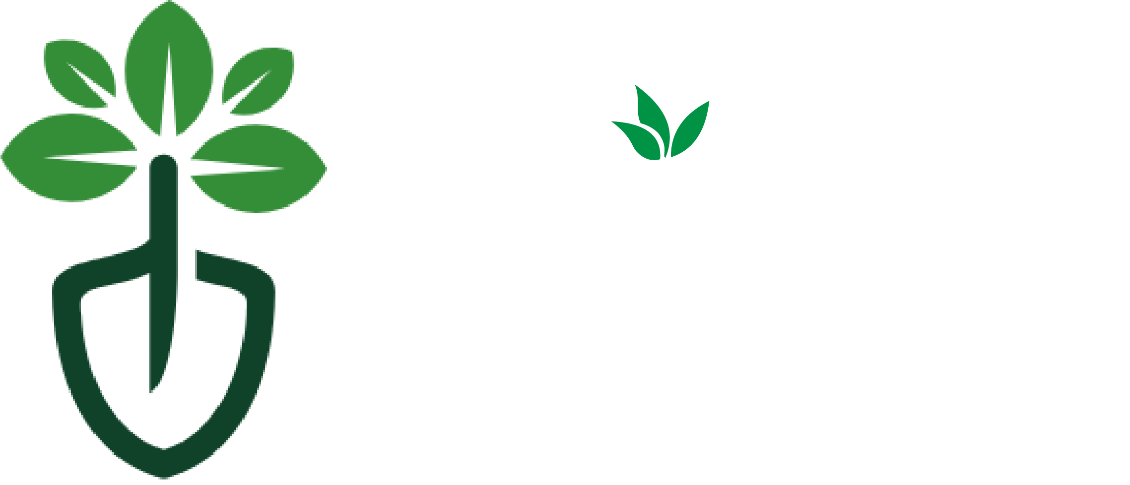 IRE Imprint for Regenerative Environment